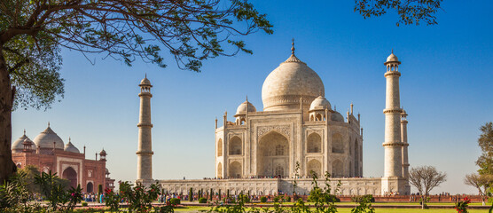 Taj Mahal Scene - obrazy, fototapety, plakaty