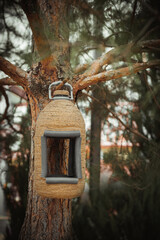 Creative handmade birdhouse hanging on the fir-tree.