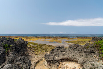 鹿児島県　沖永良部島の西原海岸