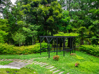 Garden with wisteria pergola in summer (Yahiko shrine, Yahiko, Niigata, Japan)