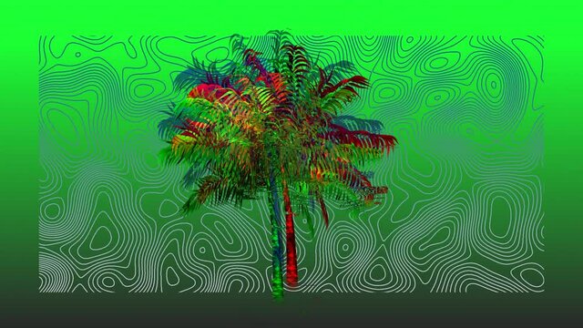 Animation of moving palm tree, over contour lines, on green