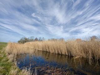 Foto auf Leinwand Gaast, Friesland proivince, The Netherlands © Holland-PhotostockNL