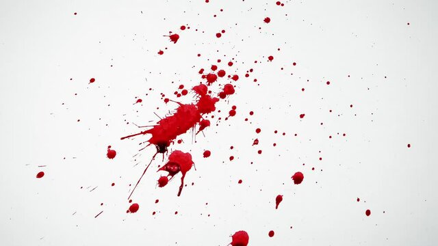 Red ink or blood splattering on white paper to form many spots, red liquid splattering everywhere