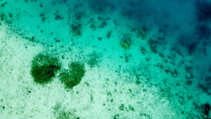Overhead aerial view of colourful coral reef