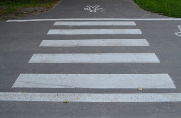 Pedestrian crossing in the park area on gray asphalt.