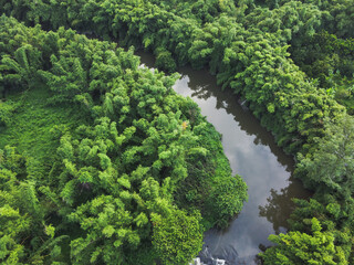 Fototapeta na wymiar Aerial top view of River and green forest in Thailand, Texture and background green tree.