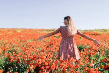 Blonde woman in a poppy field at sunset. Concept of freedom with soft colors. © artifirsov