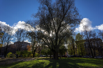 Obraz premium Parks in St. Petersburg, Russia.