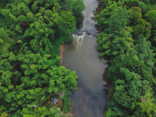 Aerial top view of River and green forest in Thailand, Texture and background green tree.