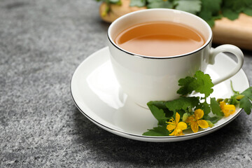 Cup of aromatic celandine tea and flowers on grey table, closeup. Space for text