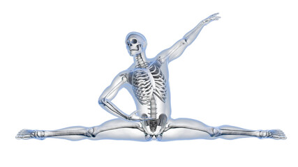 Anatomy of dancing and ballet, 3D illustration