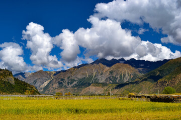 Crop fields landscape with mountains in Tibet