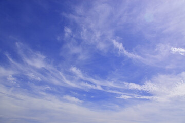 Naklejka na ściany i meble Light cirrus clouds in the blue sky