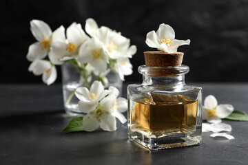 Obraz na płótnie Canvas Jasmine essential oil and fresh flowers on dark grey table, space for text