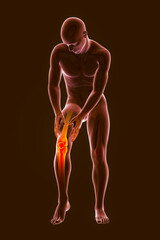 Painful knee, anatomy and medicine concept