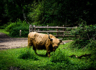 Is there anybody there?