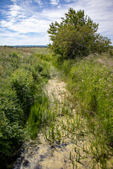 Fototapeta premium Isle of Sky Scotland 2021