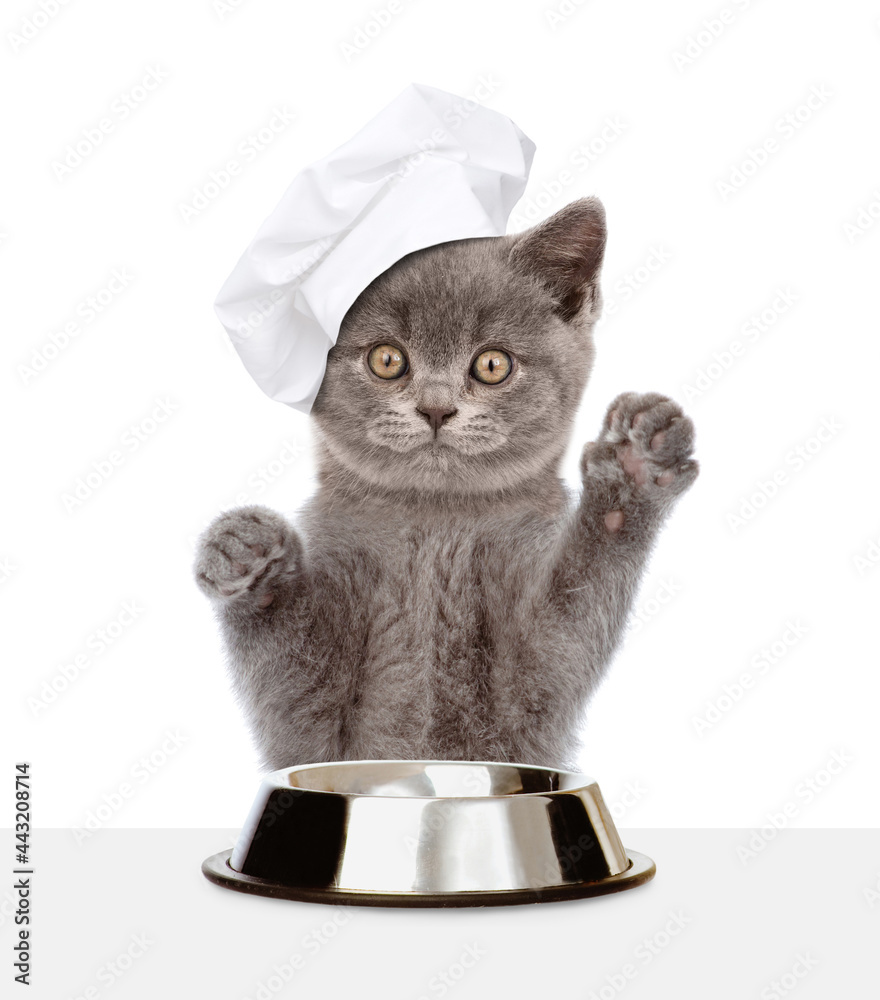 Poster kitten wearing chef's hat sits with empty bowl. isolated on white background