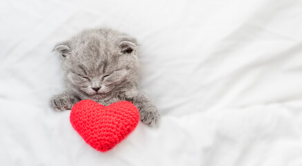 Cute kitten sleeps and hugs red heart on a bed under warm white blanket. Valentines day concept....