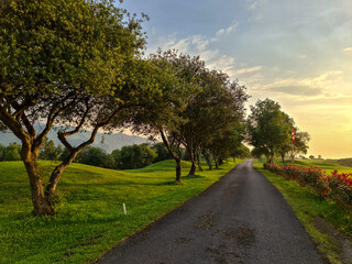 road in the countryside