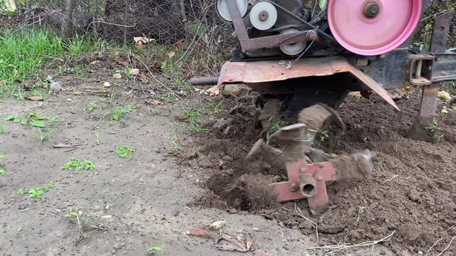 Cultivator machine ploughing and shredding soil with blades on field at spring