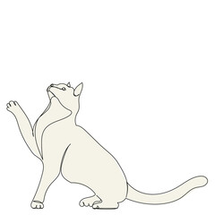 cat line drawing, picture, isolated, vector