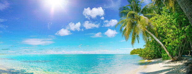 Beautiful natural tropical panoramic landscape with white sand, a palm tree bowed to the water and...