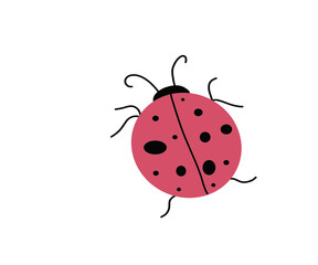 Obraz premium vector ladybug, ladybug in cartoon and flat graphics on a white background, a simple sketch of an insect