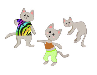 Three gray cats in clothes