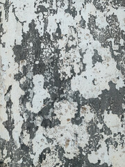 texture of an old vintage wall as a backdrop