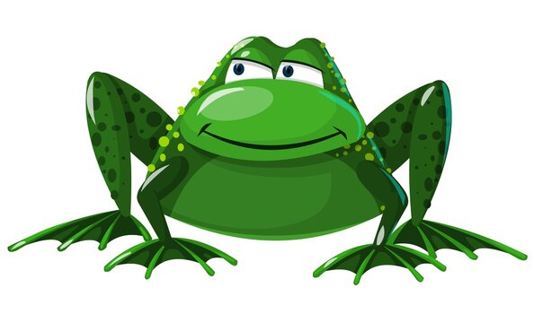 Frog in cartoon style isolated on white background. A big, funny animal sitting. 