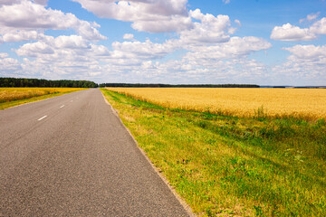 Fototapeta na wymiar road going into perspective, yellow fields and blue sky with cumulus clouds