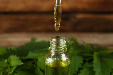 Dripping nettle oil from pipette into glass bottle and leaves against wooden background, closeup