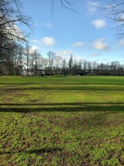 Fototapeta premium green field in spring