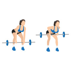 Woman doing Bent over barbell rows exercise. Flat vector illustration isolated on white background