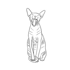 Simple art sketch silhouette of a sphinx cat that yawns