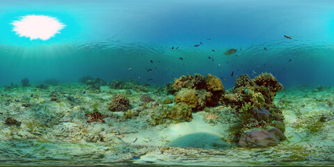 Naklejka na ściany i meble Marine scuba diving. Underwater colorful tropical coral reef seascape. Philippines. 360 panorama VR