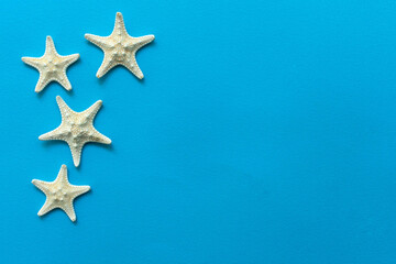 Fototapeta na wymiar Four starfishes on a blue background. Copy space.