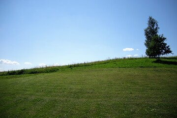 field and blue sky