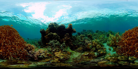 Fototapeta na wymiar Underwater Colorful Tropical Fishes. wonderful and beautiful underwater colorful fishes and corals in the tropical reef. Philippines. 360 panorama VR