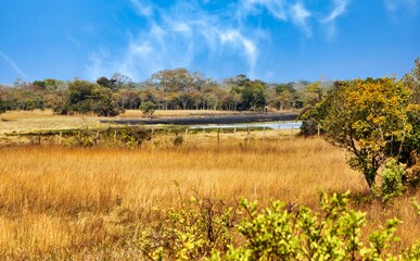 Zambian Park