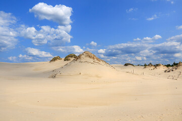 Fototapeta na wymiar Dunes in the Slowinski National Park