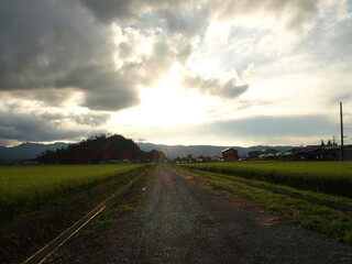 Fototapeta na wymiar 田舎道　Japanese country road