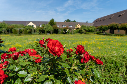 Bei Staufen im Sommer