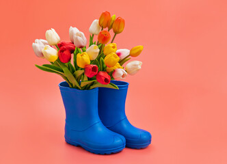 blue rubber boots with multicolored tulips on a pink background.