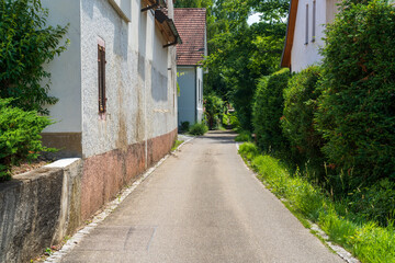 Fototapeta na wymiar Bei Heitersheim -Staufen im Sommer