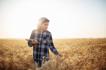 Naklejka na ściany i meble Young woman farmer checking the quality of the wheat in the field. Female agronomist analysises the new crop and sends date to the cloud. Smart farming and agricultural concept.