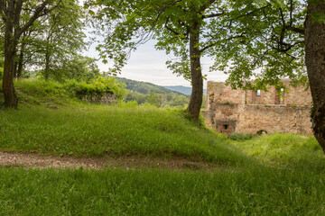Dans les ruines du ch&acirc;teau