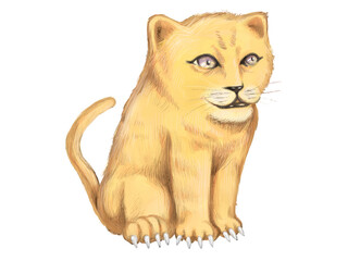 Oil pastel painting - Illustration of a sitting lion cub
