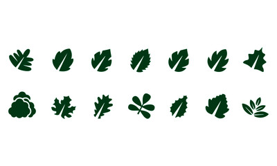  leaf icons set vector design 